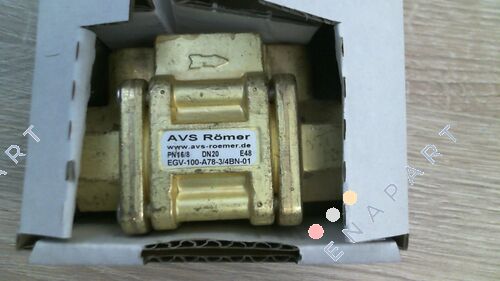 EGV-100-A78-3/4BN-01 Parça-2/2-yollu solenoid valf