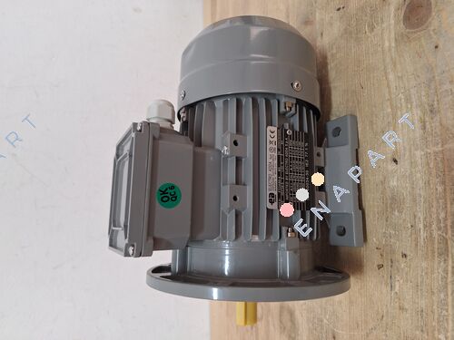 FT2AP801-4 motor