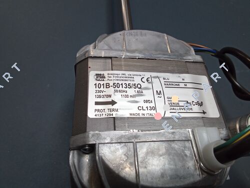 101B-50135/5Q Motor