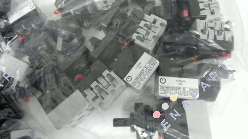 10000110           A1/6ZM/NS Kontrol anahtarı